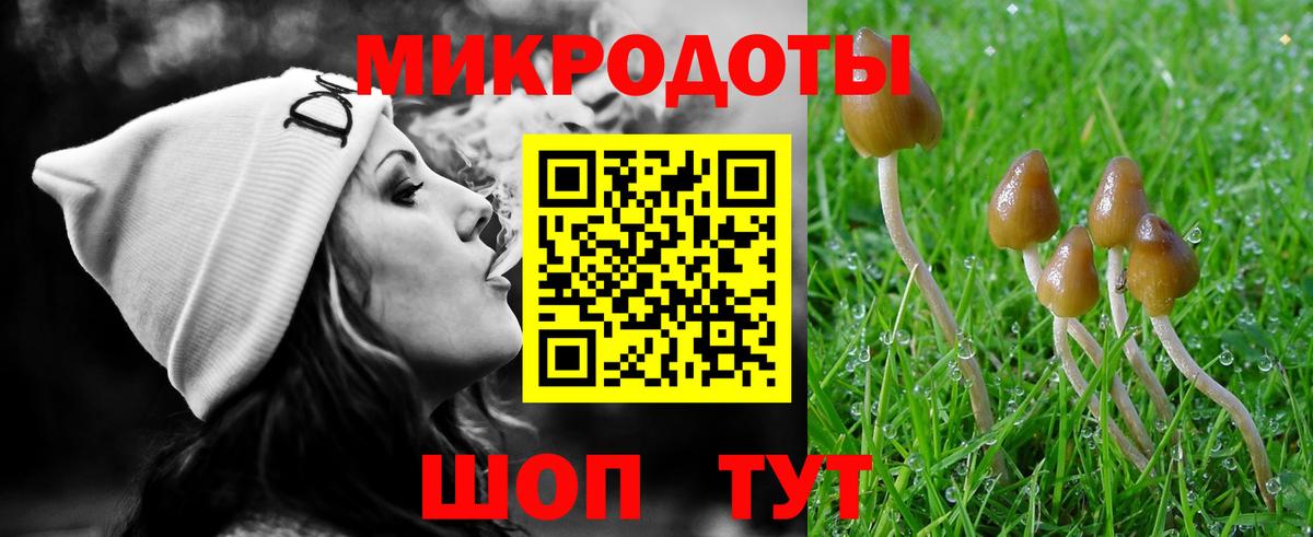Галлюциногенные грибы Magic Shrooms  Вход с VPN  цены   Чебоксары  Галлюциногенные грибы прущие грибы 